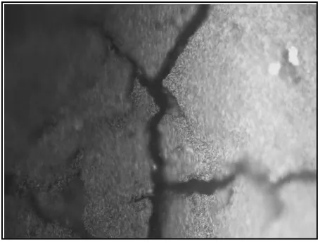 Figure 3. Structural support for the active layer in Etek electrodes at 20 x 0.45 increases