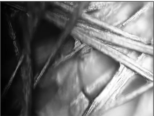 Figure 8. Optical Microscopy on Toray paper surface at 50 x 0.8 increases. 