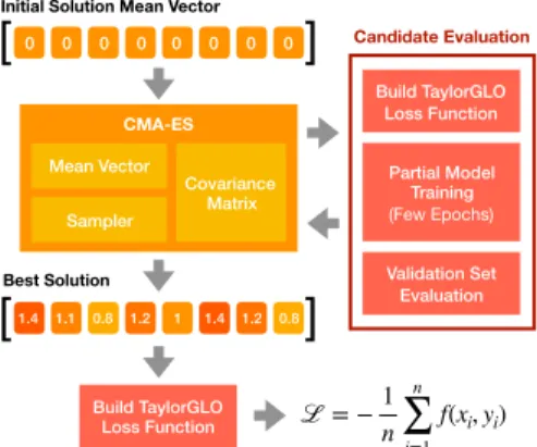 Figure 1: The TaylorGLO method. Start- Start-ing with a population of initially unbiased loss functions, CMA-ES optimizes their  Tay-lor expansion parameters in order to  maxi-mize validation accuracy after partial  train-ing