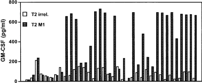 FIG. 2. Using magnetically labeled anti-IgG antibodies, inﬂuenza M1-speciﬁc CTL were enriched from peripheral blood, restimulated in vitroand tested for speciﬁcity in a granulocyte-macrophage colony-stimulating factor secretion assay