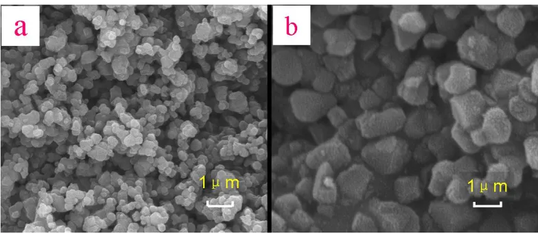 Figure 4. SEM micrographs of Li[Ni1/3Co1/3Mn1/3]O2 prepared by different methods. (a) SEP; (b) SSP  As is well known, the influence of particle size, morphology and surface area to the battery 