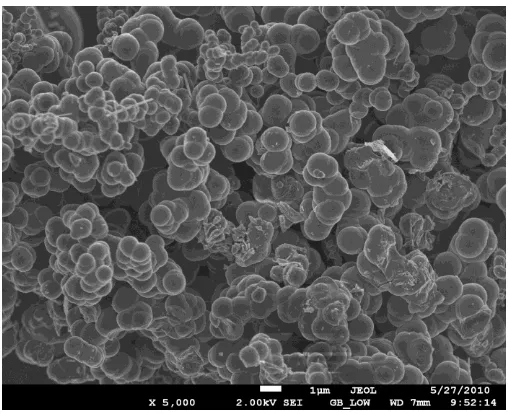 Figure 3. Scanning electron microscope (SEM) spectra of carbon nanospheres produced from acetylene and bis(acaetylacetonato)oxovanadium(IV) as catalyst precursor