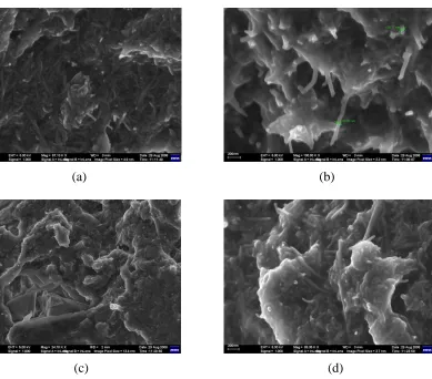 Figure 4. Scanning electron micrographs for CNTPE (a and b) and CNTPE-Cu (c and d). Scales: (a) 200 nm, (b) 200 nm, (c) 1 µm and (d) 200 nm 
