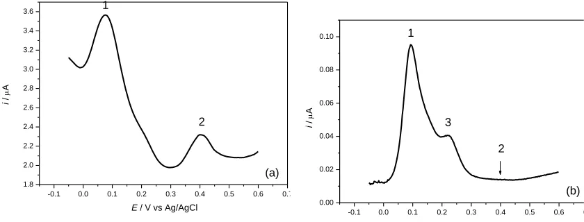 Figure 5. Differential pulse voltammograms obtained at the CNTPE (a) and CNTPE-Cu (b), using 5.010-5 mol L-1 quercetin solution in phosphate buffer