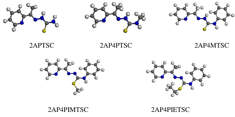 Figure 1 .Structures of TSC derivatives studied 