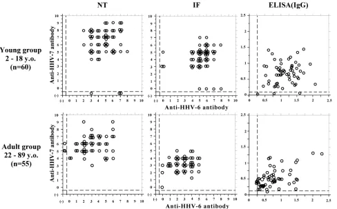 FIG. 3. Maternal transferred NT antibody titers against HHV-6 and HHV-7 were compared in serum obtained from cord blood specimens.