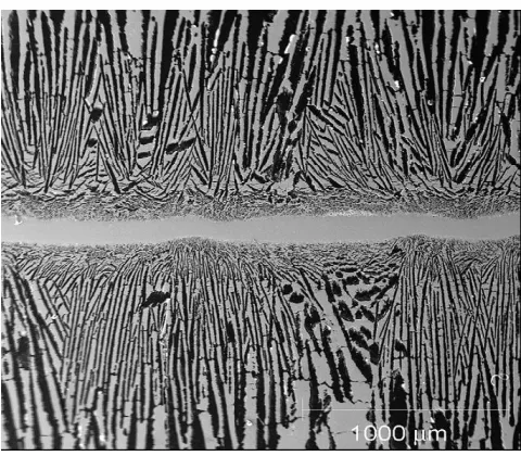 Figure 2. Porous anode and cathode of a BSC structure[4]. 