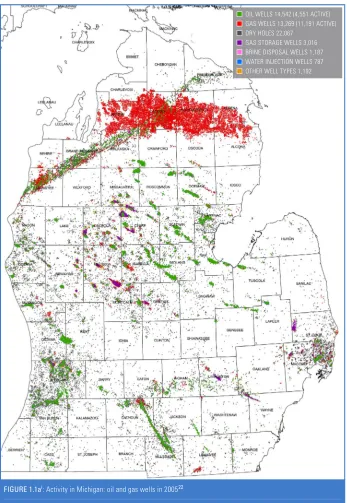 FIGURE 1.1ai: Activity in Michigan: oil and gas wells in 200522