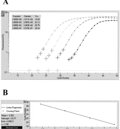 FIG. 4. Quantitative analysis of LightCycler results obtained on a representative set of four tissue sections containing 2.6 �CFU ofby three data points, artiﬁcial crossing points with the noise band (horizontal line) were determined by the LightCycler sof