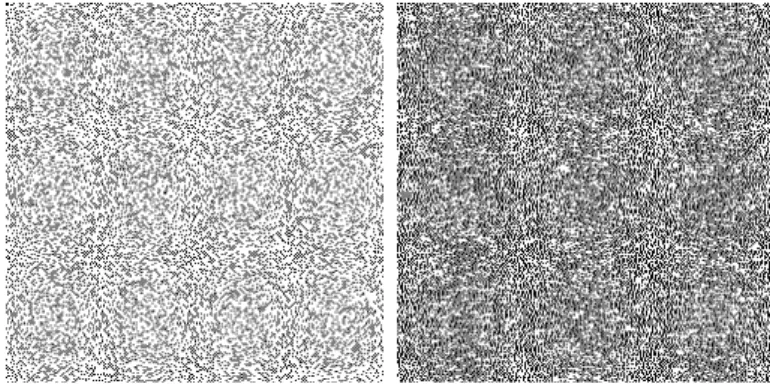 Fig. 5. Watermark produced when (a): a = 3.7 and (b): a = 3.9.