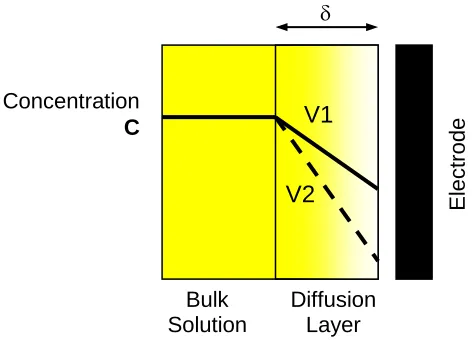 Figure 6. Diffusion layer at the working electrode surface. 