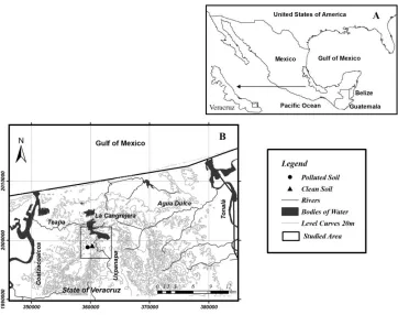 Figure 1. Geographical location of sampling area in Mexico (A) showing the site where polluted soil was taken (B)