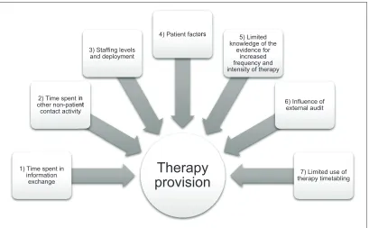 Figure 2. Factors influencing therapy provision.