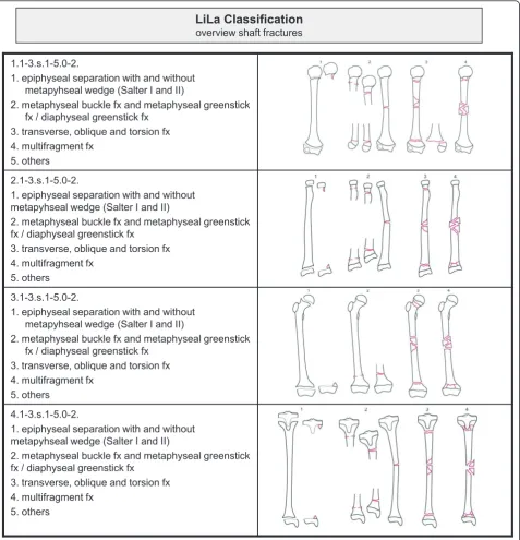 Figure 4 Overview of Li-La classification of paediatric long bone fractures: shaft fractures.