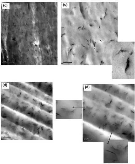 Figure 4. TEM of a) Sample 1b : twice-compounded polypropylene free of additives showing 