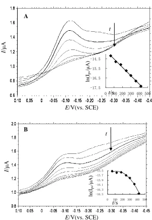 Figure 6.  Time-dependent DPVs obtained in 20 mM pH 7.1 Tris-HCl at dsDNA/GCE (A) and ssDNA/GCE (B) after immersing the modified electrodes into 300 μM [Cu(bpy)(MBZ)2(H2O)] for equilibrium