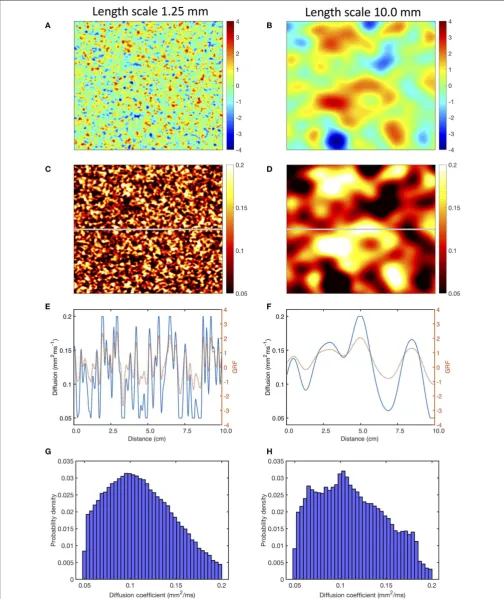 FIGURE 1 | Use of a Gaussian random ﬁeld (GRF) to generate heterogenous and smoothly varying diffusion