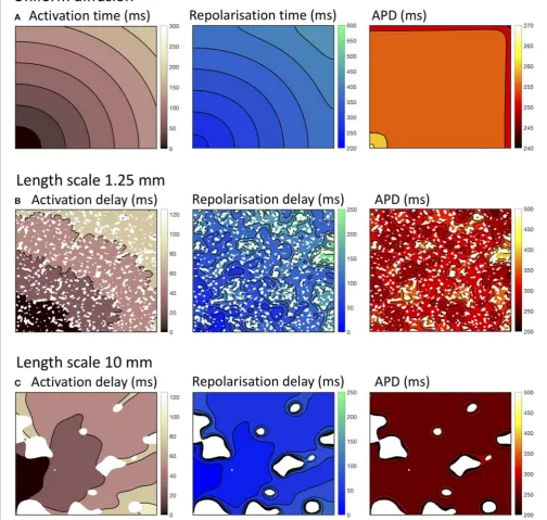 FIGURE 2 | Activation, recovery and action potential duration (APD) in simulations with uniform diffusionshown in (A), heterogeneous diffusion on a length scale of 1.25 mm(B), and a length scale of 10.0 mm (C)