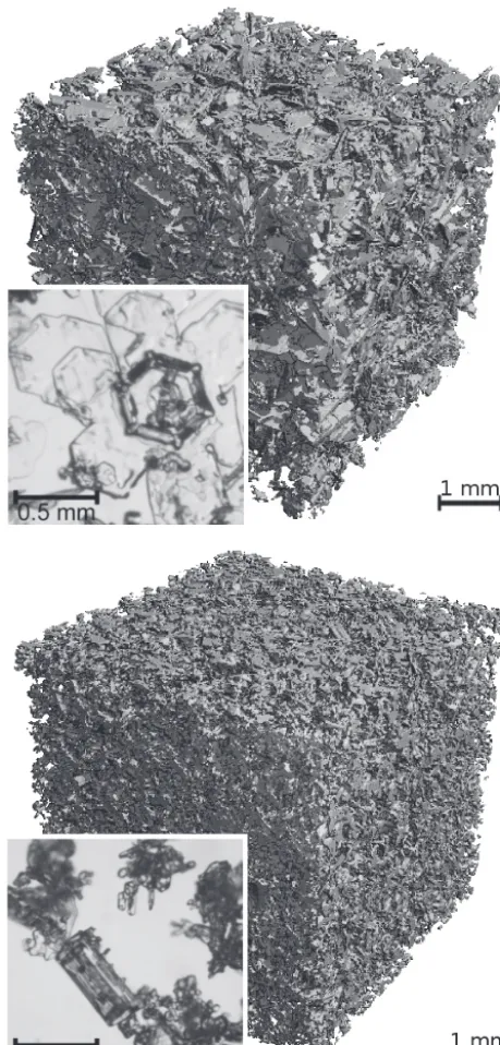 Figure 8. Examples of natural snow samples with a photograph62mm1 φof the crystal habit and an µCT image of the initial structure