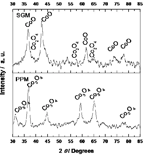 Figure 1. XRD patterns of CoxOy prepared by the PPM and SGM. 