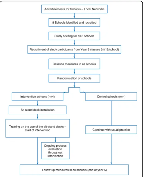Fig. 1 Flow diagram for the Stand Out in Class pilot RCT