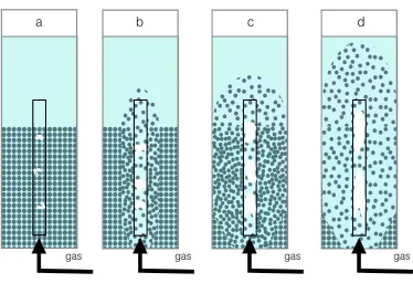 Figure 1.5 Regime transition with increasing superficial gas velocity (a) fixed bed; (b) semi spouted bed; (c) full spouted bed; (d)internal circulating fluidized bed