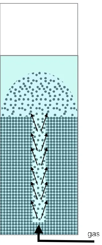 Figure 1.6 Sketch of the proposed gas-driven gas-liquid-solid spouted bed without 