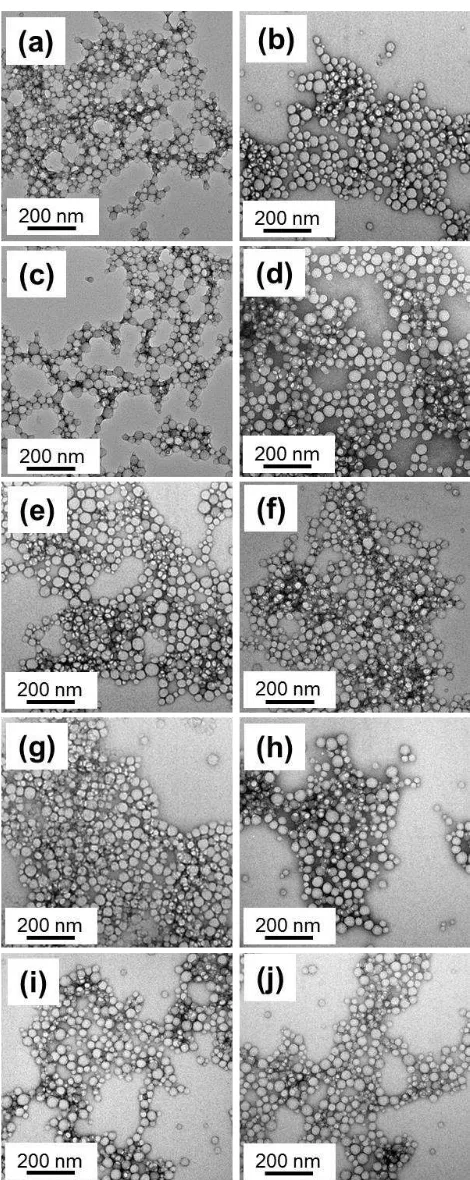 Figure 5. Representative TEM images of diblock copolymer nanoparticles synthesized via high-throughput RAFT aqueous emulsion polymerization using the Chemspeed Autoplant A100 automated synthesizer: (a-e) PMAA56-PBzMA500 and (f-j) PMAA56-PBMA500