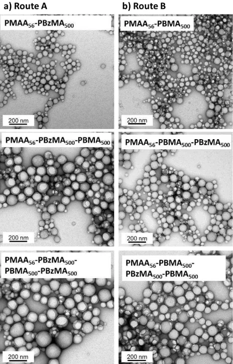 Figure 7. Representative TEM images obtained for the synthesis of diblock, triblock and tetrablock copolymers using the Chemspeed A100 automated synthesizer by RAFT aqueous emulsion polymerization