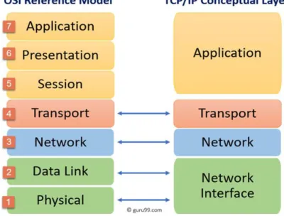 Fig 3: OSI Reference Model and TCP/IP Conceptual Layer