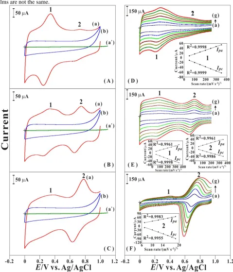 Figure 1.  Cyclic voltammograms of three different film types represent in (a) of (A) Type I, (B) Type II, and (C) Type III of FCN-CuHCF-PEDOT/GCE examined in 0.1 M KNO3 (pH 5.6), all these films are compared with (b) PEDOT/GCE and (a’) bare GCE in each ca