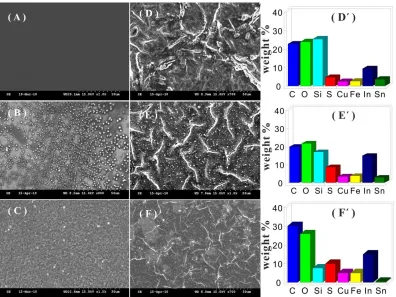 Figure 2.  SEM images of different electrode surface including (A) bare GCE, (B) CuHCF/GCE, (C) PEDOT/GCE, and (D) Type I, (E) Type II, and (F) Type III of Copper(II) hexacyanoferrate/PEDOT/GCE, respectively