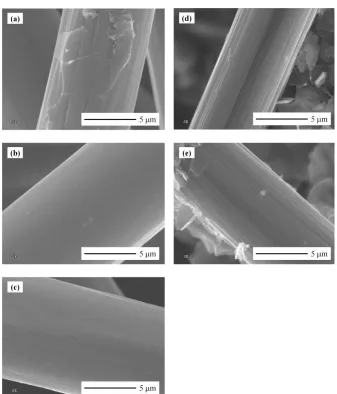 Figure 3.  Electron micrographs of various self-made carbon papers(8k). (a) GDL; (b) GDL-A240; (c) GDL-MP; (d) SGL; (e) SGL-A240
