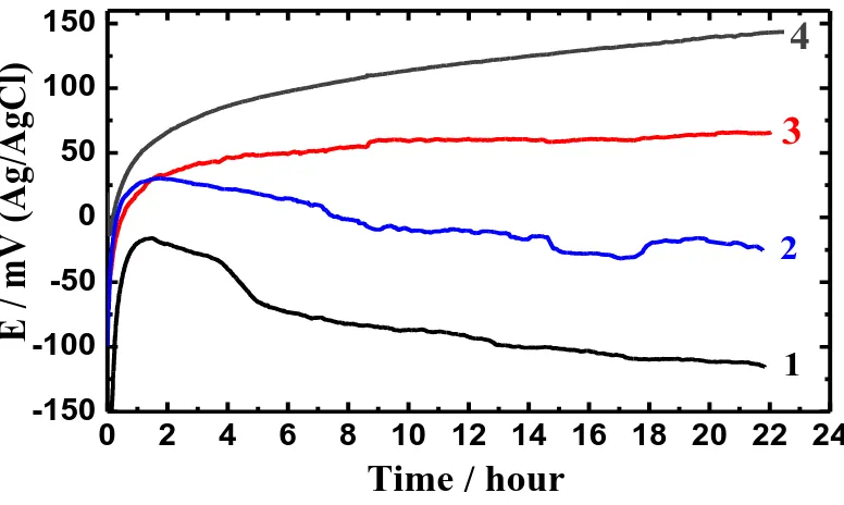 Figure 1. Variation of the open-circuit potential versus time for the duplex stainless steel, (1) alloy 1, (2) alloy 2, (3) alloy 3, and (4) alloy 4, respectively in 10% H2SO4 solutions