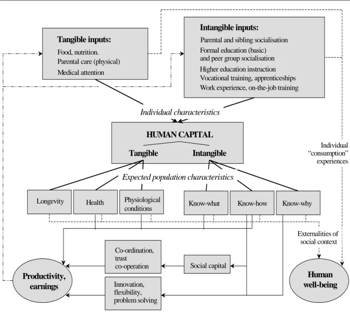 Figure 2. Human capital formation and growth: Micro- to Macro-level Feedbacks 