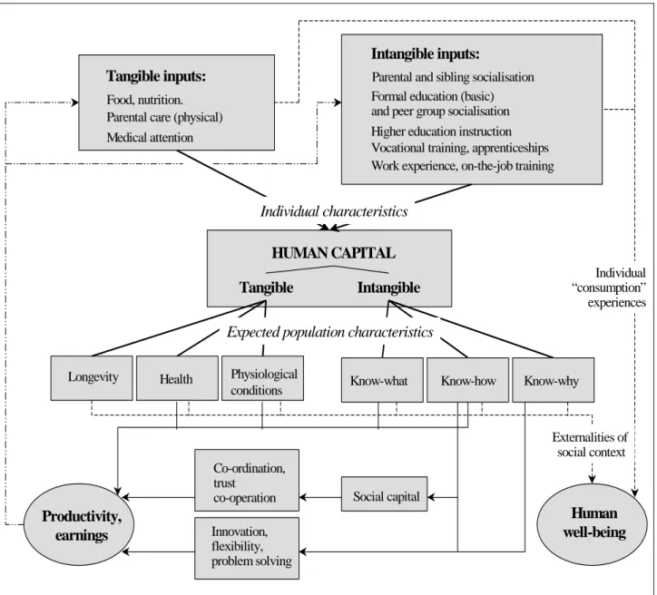 Figure 2:  Human capital formation and growth: Micro- to Macro-level Feedbacks 