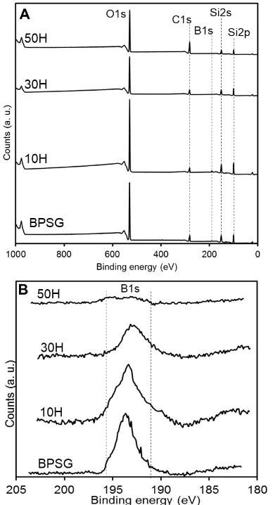 Figure 3. 8: XPS analysis of BPSG and hybrid materials. (A) Survey analysis at the surface of the specimens, (B) High resolution Boron 1s spectra