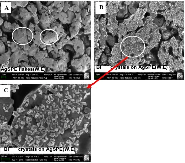 Figure 1.  SEM pictures of unmodified SPAgE (A), Binano modified SPAgE (B) and magnified image of B (C) at different magnifications