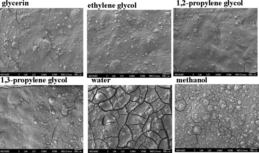 Figure 2.  Surface morphology of catalyst layer coated with ink containing (a) glycerin, (b) ethylene glycol, (c) 1,2-propylene glycol, (d) 1,3-propylene glycol, (e) water, and (f) methanol