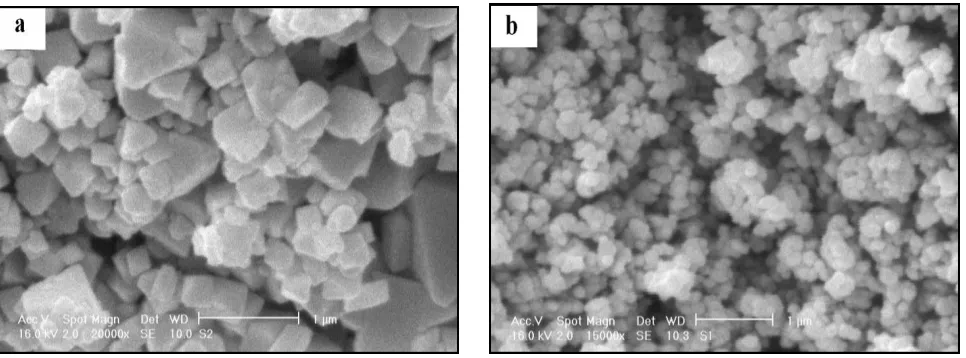 Figure 2. SEM micrograph of LiMn2O4 (a) micro-particles and (b) nano-particles. 