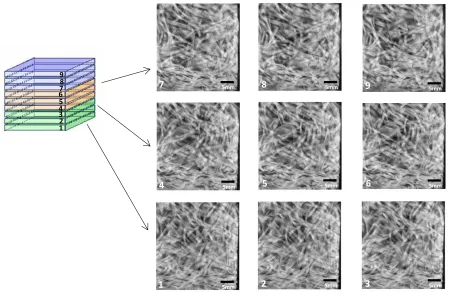 Figure 3-9 Micro CT of the E sample for 62 percent of initial mold area coverage (voxel size of 20 
