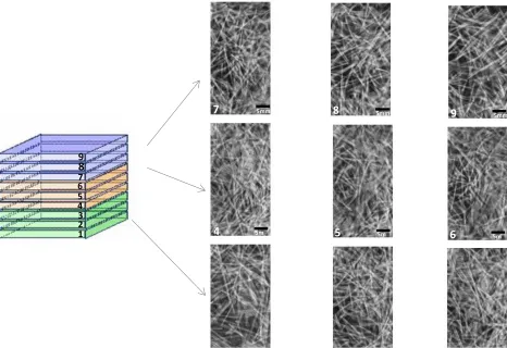 Figure 3-10 Micro CT of the M sample for 62 percent of initial mold area coverage (voxel size of 50 1   5mmm) 5m 23