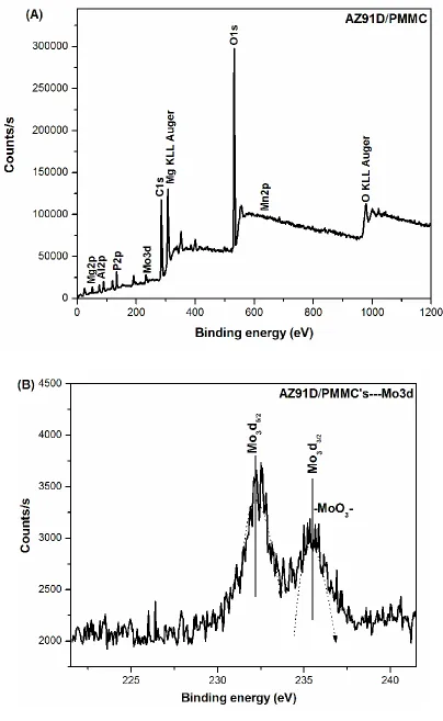 Figure 4. XPS spectrum of AZ91D magnesium alloy substrate treated in phosphate-manganese-molybdate pre-coating: (A) survey spectra, (B) enlarged Mo3d XPS spectrum (at ambient conditions and prior to EN deposit)