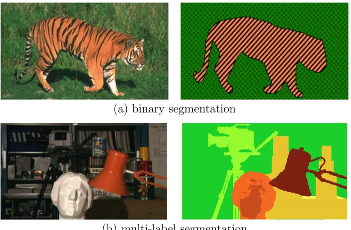Figure 1.1:Classical image segmentation. (a) depicts a binary segmentation of a tiger