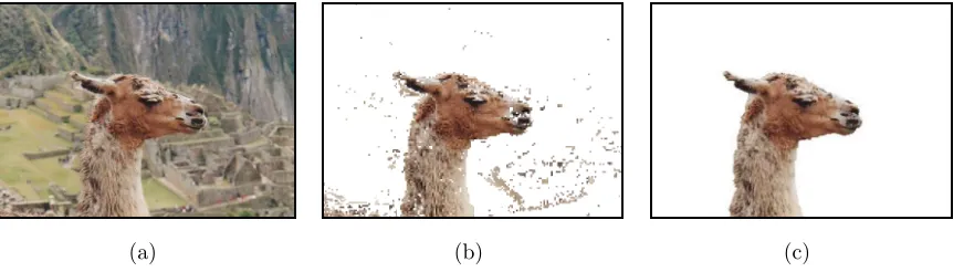 Figure 1.2: Example of graph-cut segmentation. From left to right: (a) base image, (b)only using the data term, (c) data and smoothness term.