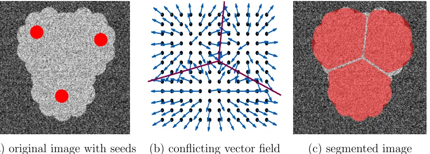 Figure 1.9: (a) synthetic example with a complex seed (red). (b) non-smooth vector ﬁeldthat leads to conﬂicting hedgehog constraints (highlighted by the red lines)