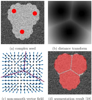 Figure 2.1:illustrates the negative eﬀect of using complex seeds [18, 16]. (a) the imageto be segmented and the foreground seeds (shown in red), (b) distance map of the seeds,(c) the non-smooth gradient of the distance map, and (d) segmentation result of [18].The segmentation artifacts in (d) are due to conﬂicting hedgehog constraints caused bythe non-smooth vector ﬁeld (c).