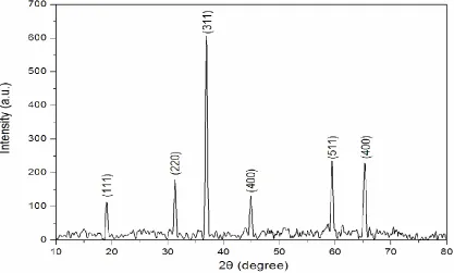 Figure 2.  TG-DSC curves of as-synthesized cobalt ion-based coordination polymer  