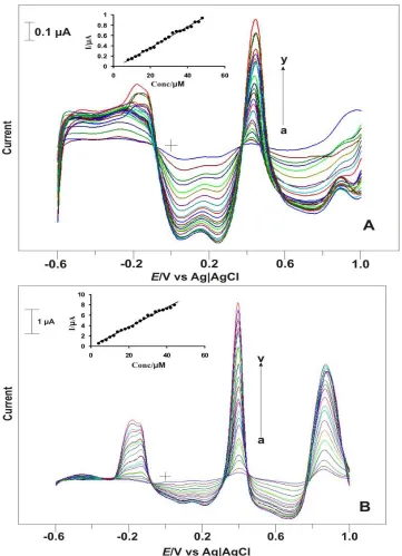 Figure 7.   (A) DPVs of nano Au-CRV film modified GCE for As (III) detection (dissolved in spring water-2) in pH 7 PBS (As (III) concentration (a-y): 2, 4, 6, 8, 10, 12, 14, 16, 18, 20, 22, 24, 26, 28, 30, 32, 34, 36, 38, 40, 42, 44, 46, 48, 50 µM)