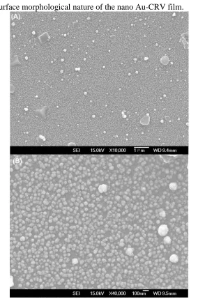 Figure  3.  SEM images of the nano Au-CRV film modified ITO (magnifications x10, 000 (A) and x40,000 (B))